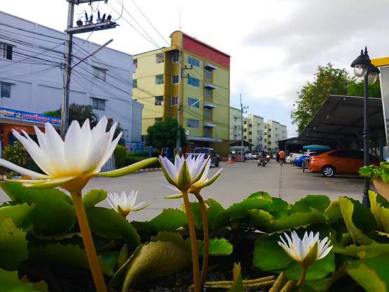 Condo · chon_buri — photo 5
