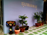 Apartments for Rent Chumphon Night Bazaar