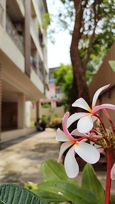 Condo · Min Buri, bangkok — photo 3