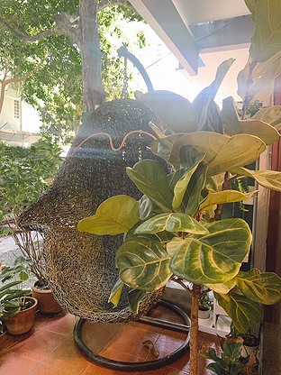 Condo · bangkok — photo 3