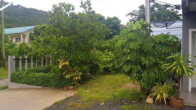 Condo · Thalang, phuket — photo 2