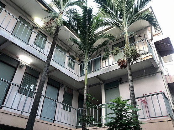 Condo — photo 5