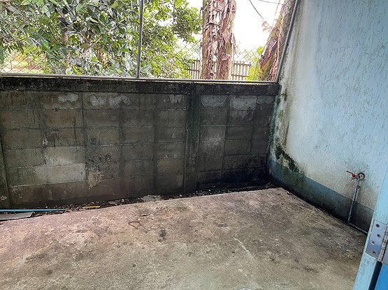 Condo — photo 3