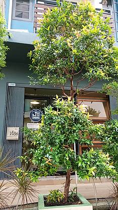 Condo · Chatuchak, bangkok — photo 1