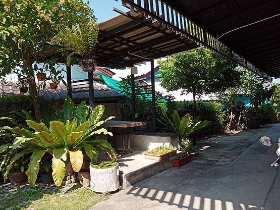 Condo · Mueang Chiang Mai, chiang_mai — photo 4