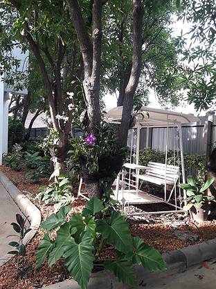 Condo — photo 3