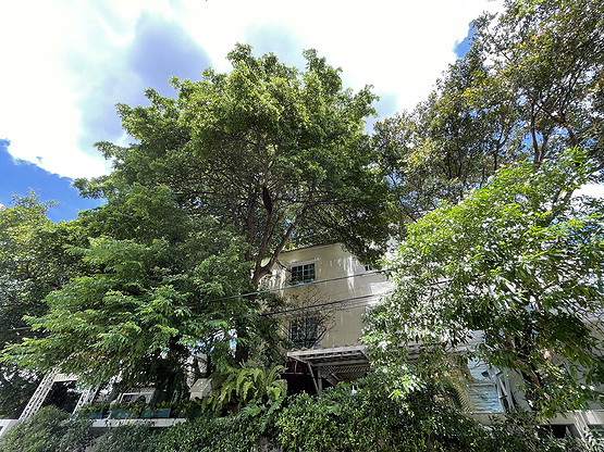Condo · Bang Khen, bangkok — photo 2