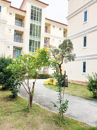 Condo — photo 2
