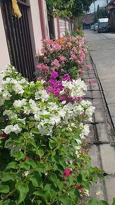 Condo · Mueang Chiang Mai, chiang_mai — photo 4