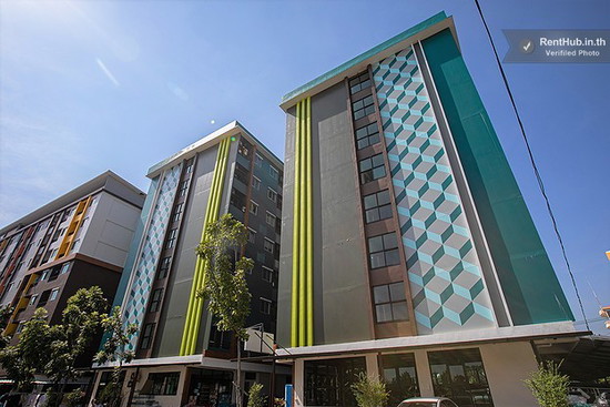 Pino Apartment - Apartment for Rent