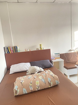 Condo — photo 4