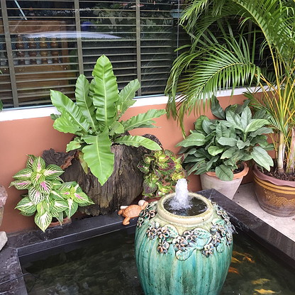 Condo · Lat Phrao, bangkok — photo 5