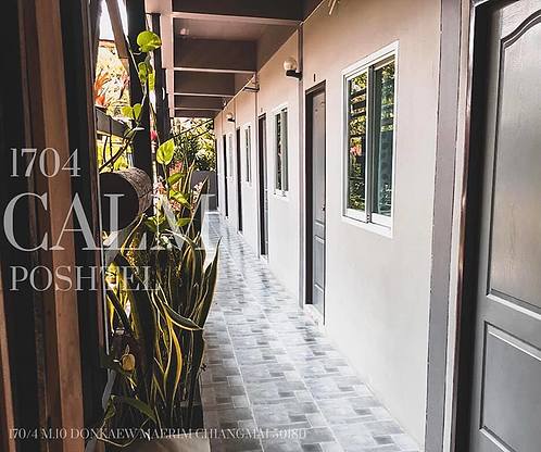 1704 Calm — photo 3