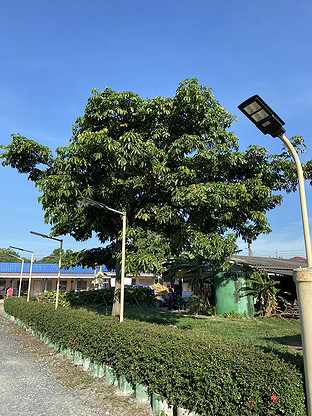Condo · Mueang Chon Buri, chon_buri — photo 3