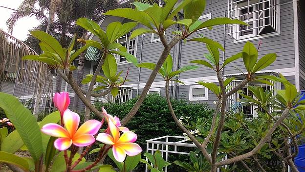 Condo — photo 3