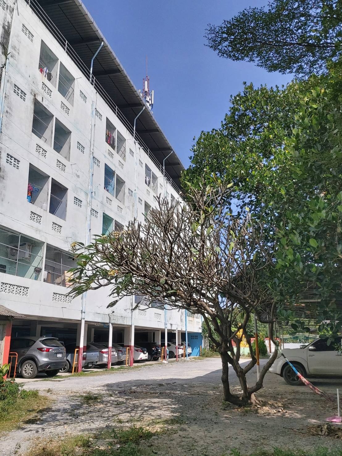 Condo — photo 2
