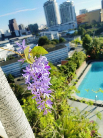 Condo · Khlong Toei, bangkok — photo 4