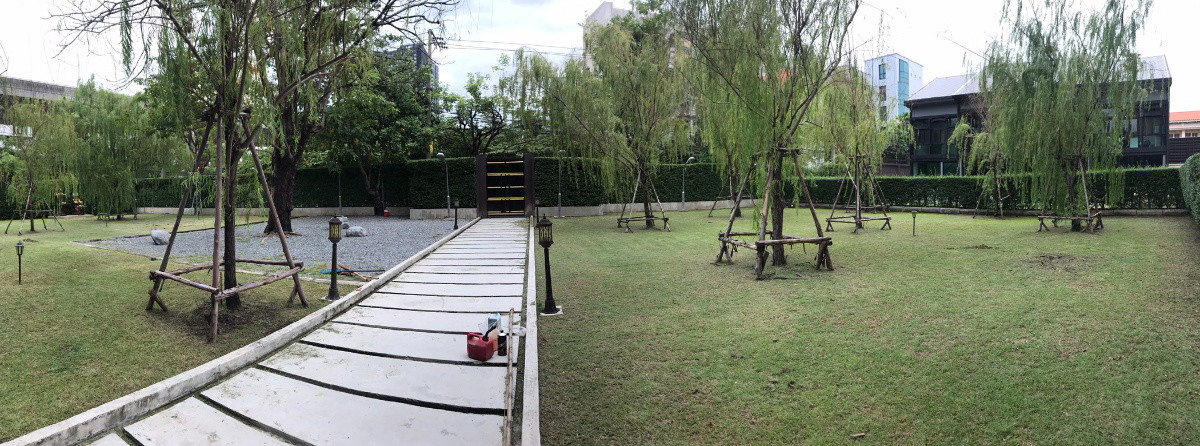 The willows park — photo 5