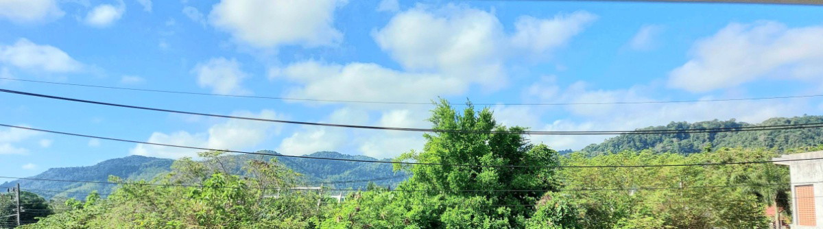 Napo Residence