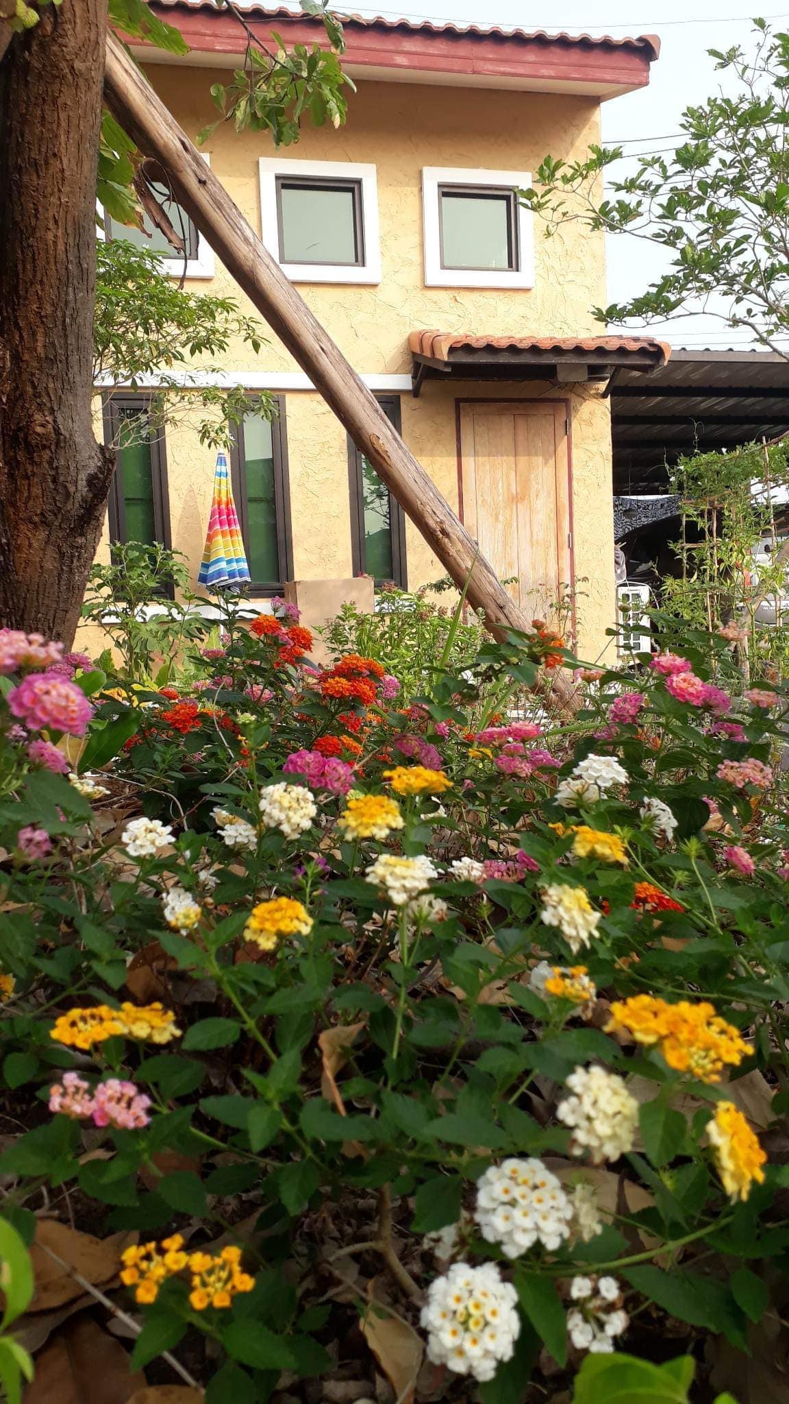 Casa TiAmo — photo 3