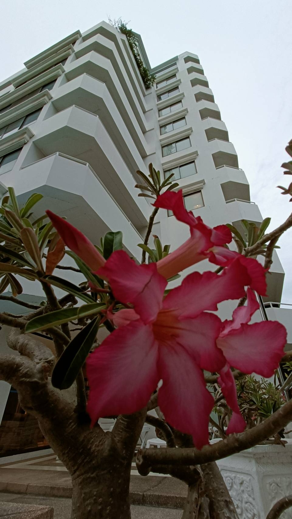 The Monaco Residence — photo 2
