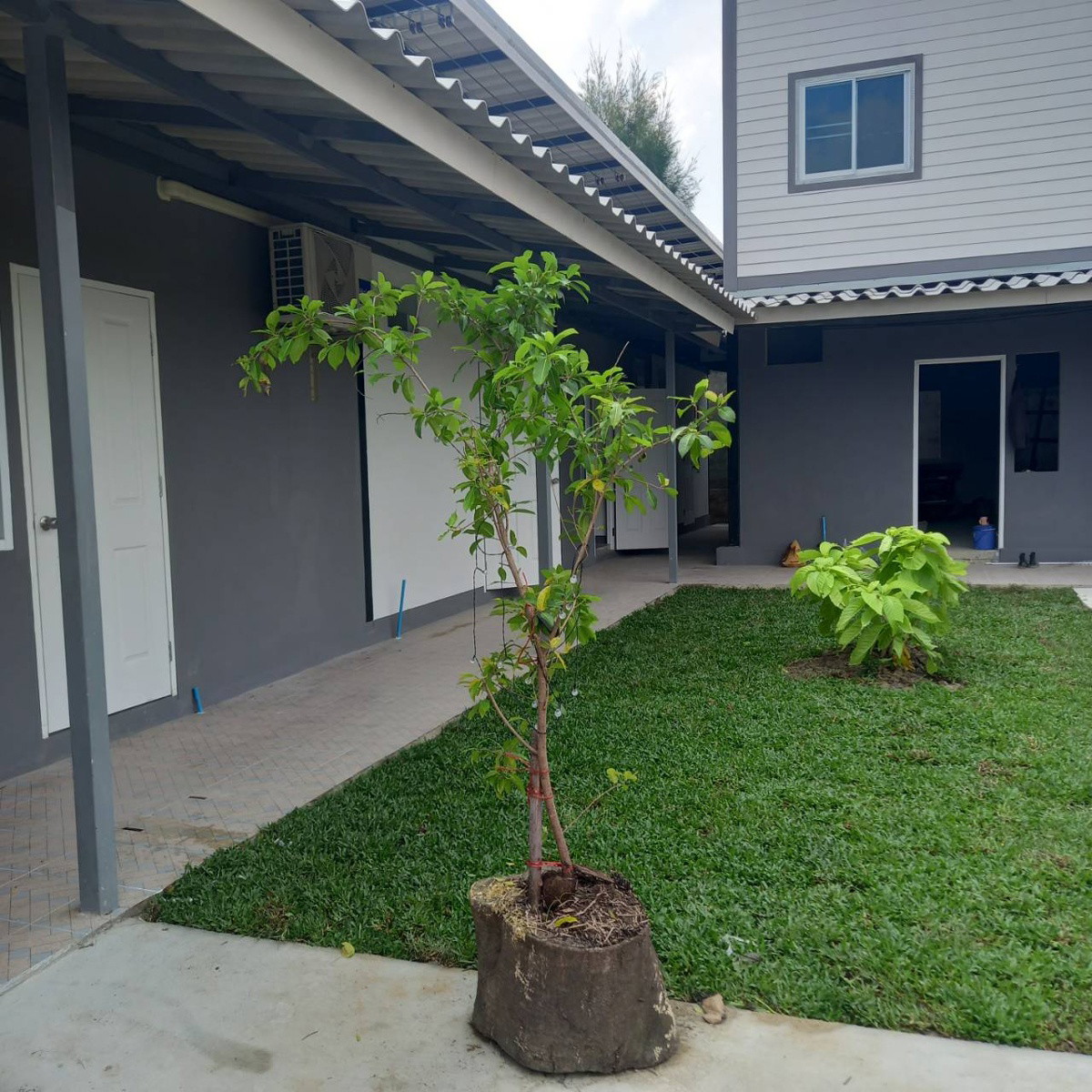 Condo — photo 4