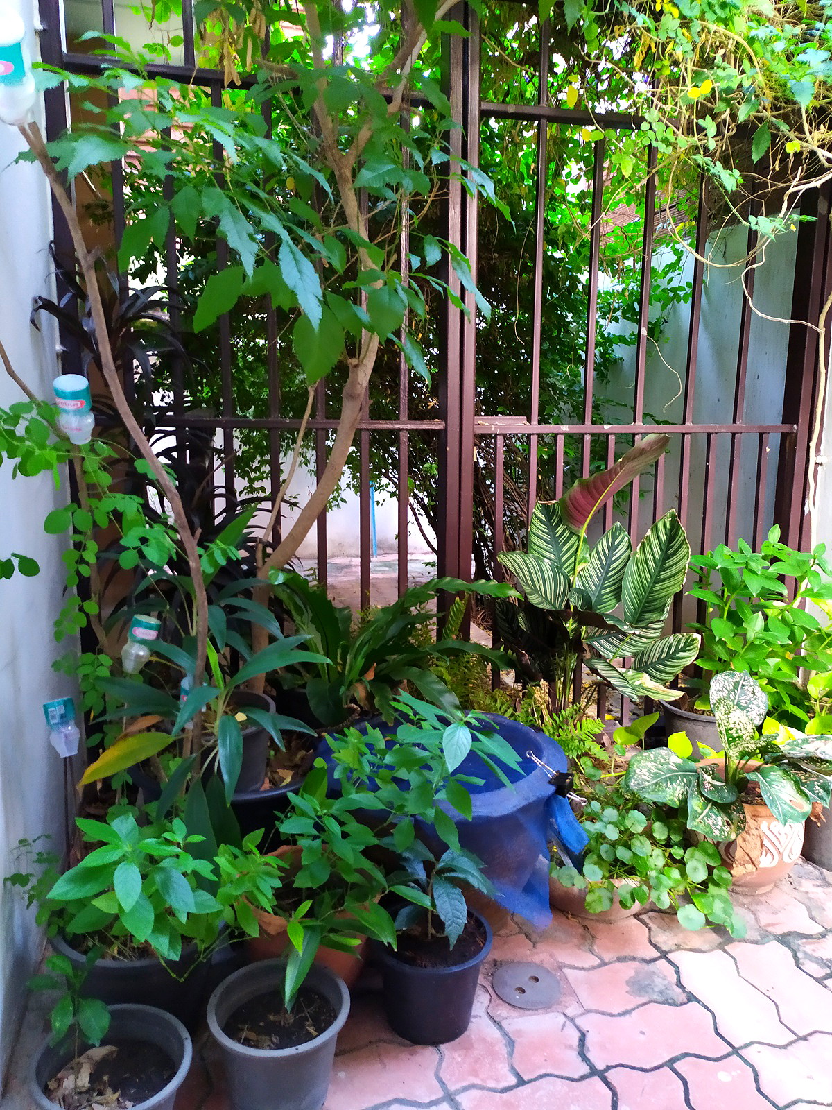 รูปภาพ ห้องพักใกล้สถานี BTS วงเวียนใหญ่ | อพาร์ทเม้นท์ หอพัก ที่พัก ห้องพัก - รูปที่ 11/11