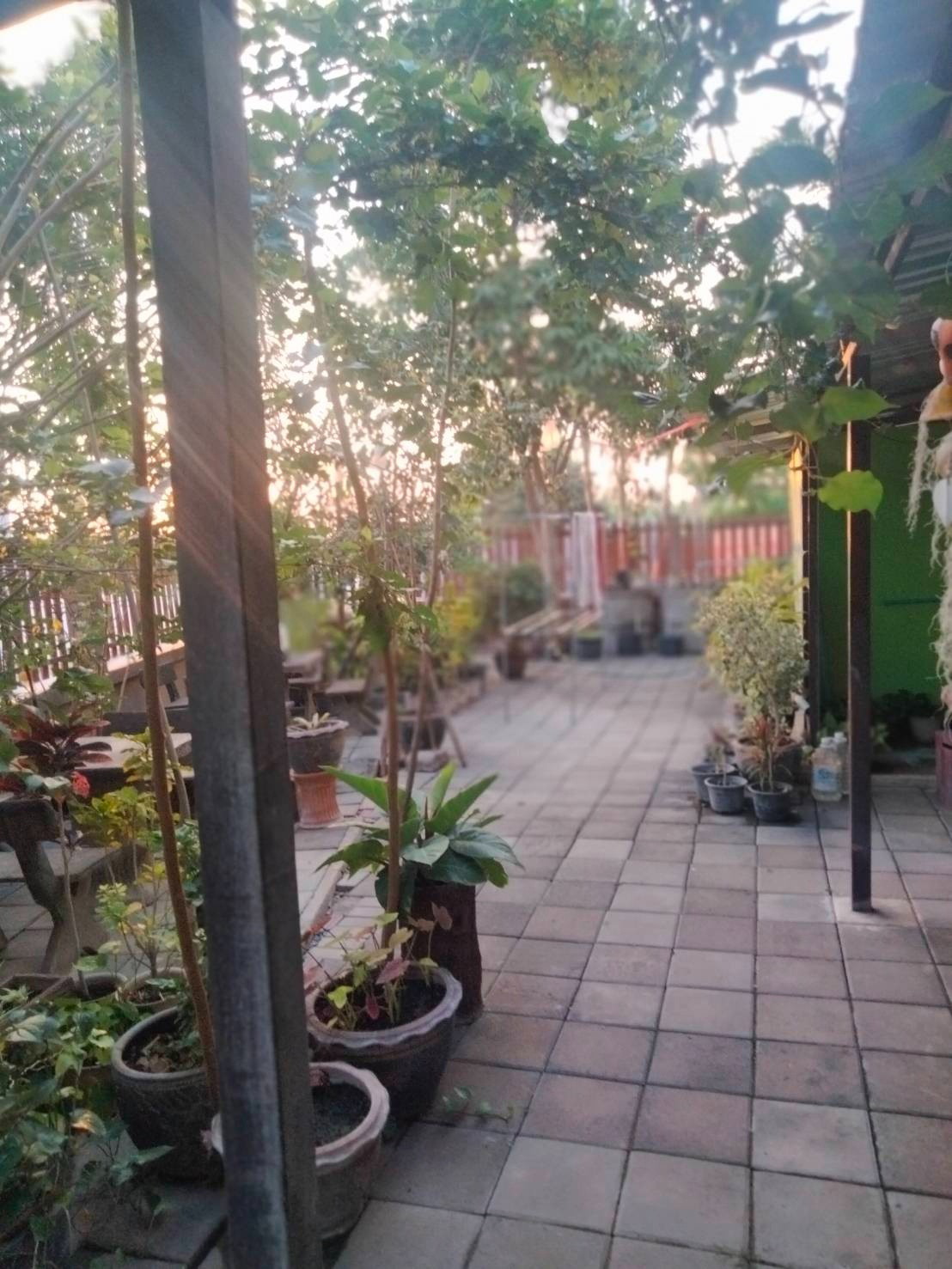 Condo — photo 4
