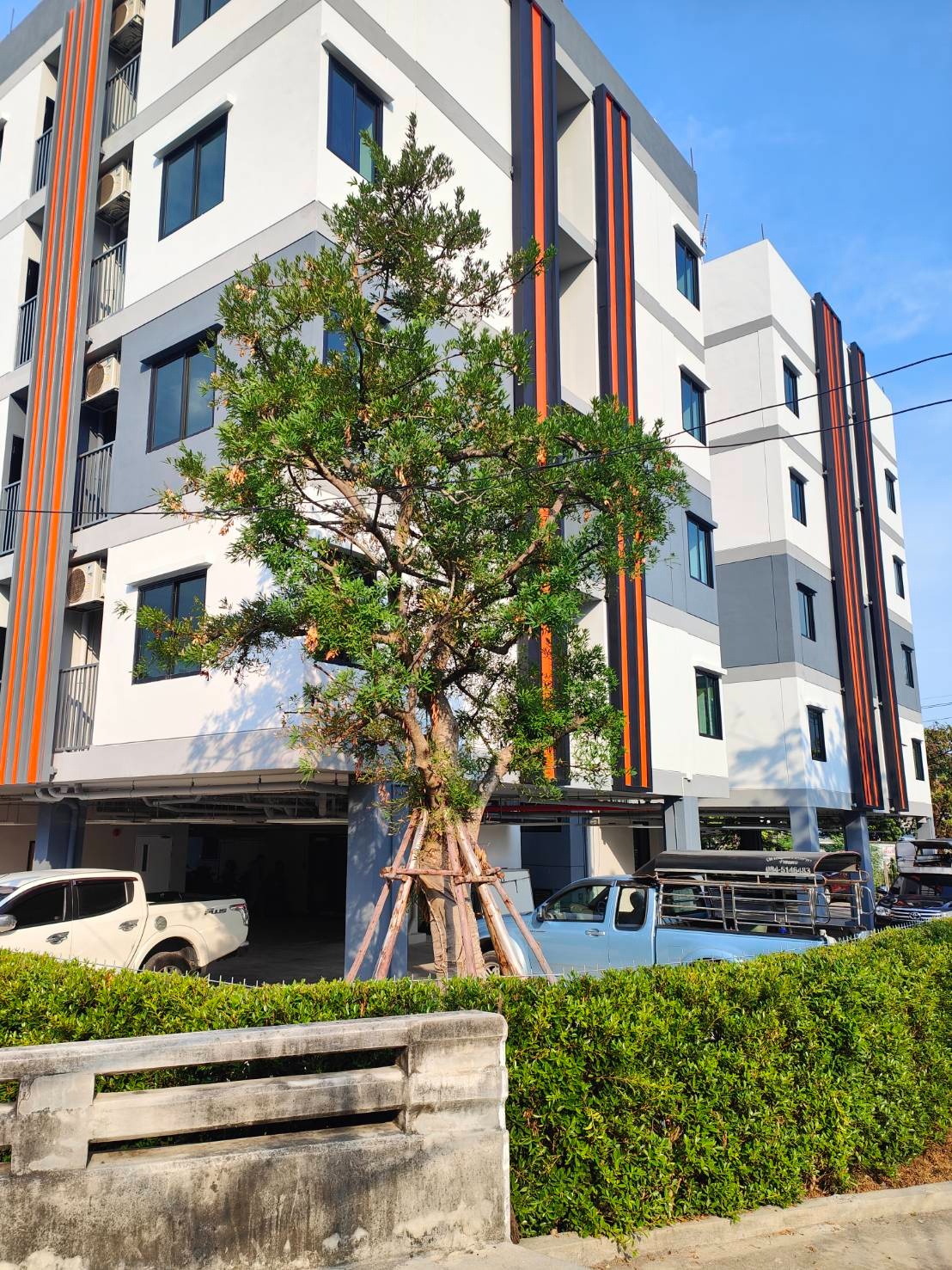 Condo · Phra Khanong, bangkok — photo 4