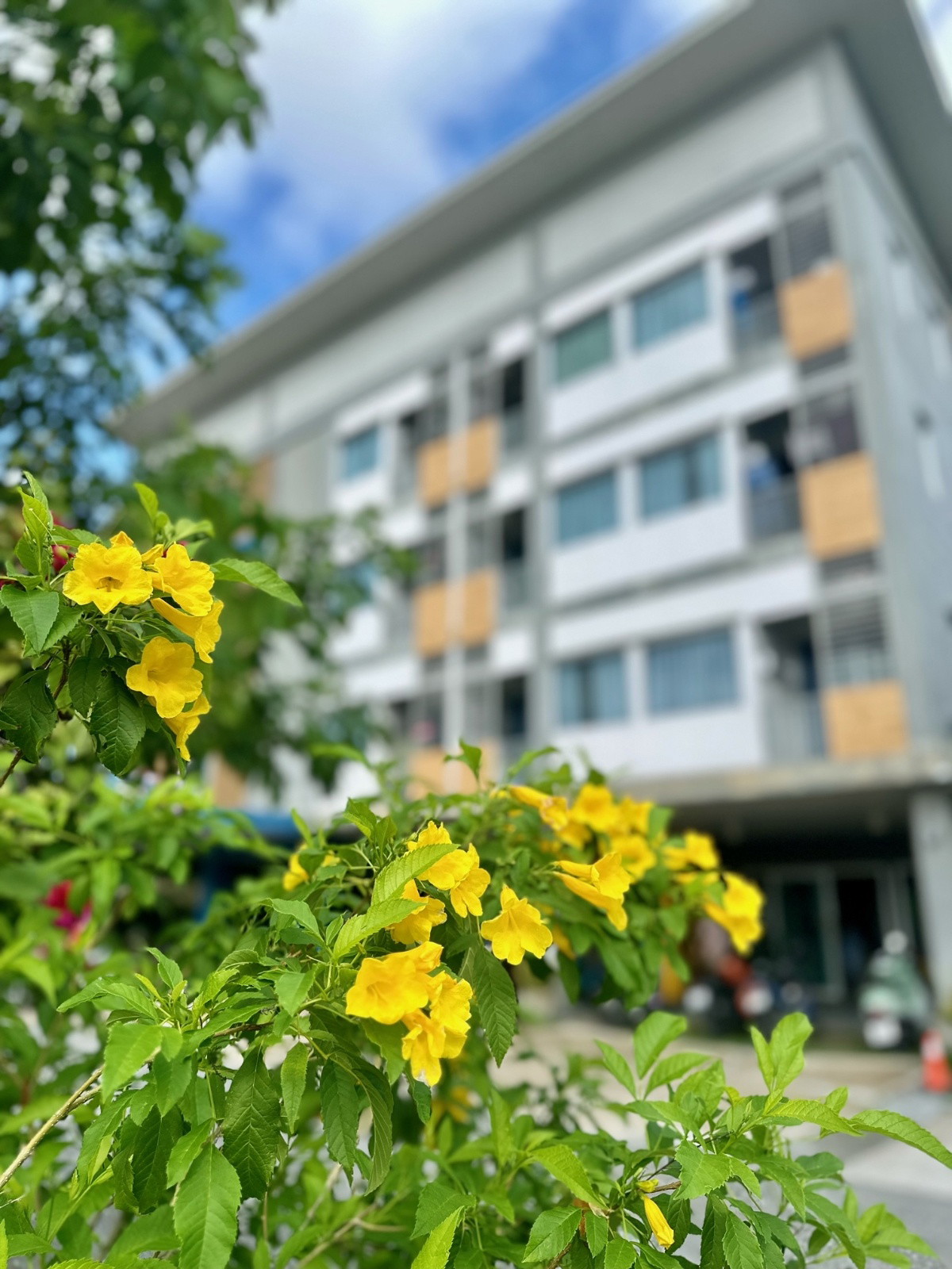 Condo · Mueang Samut Prakan — photo 3