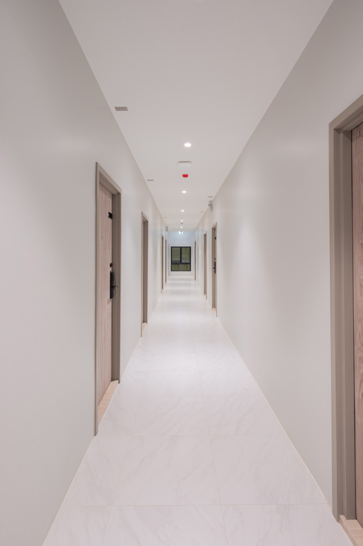 Condo — photo 5