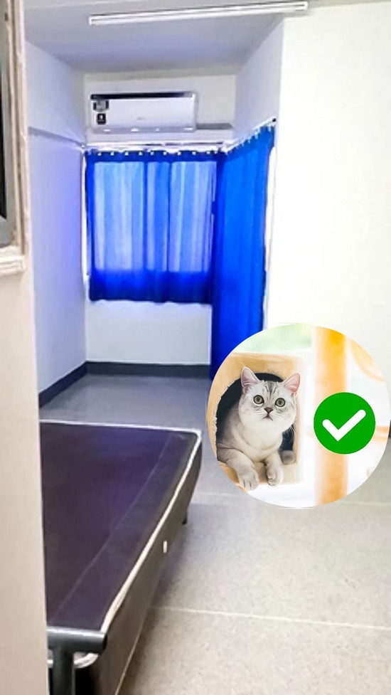 ชื่นหทัย อพาร์ทเม้นท์ (อ่อนนุช 55/1) - Apartment for Rent