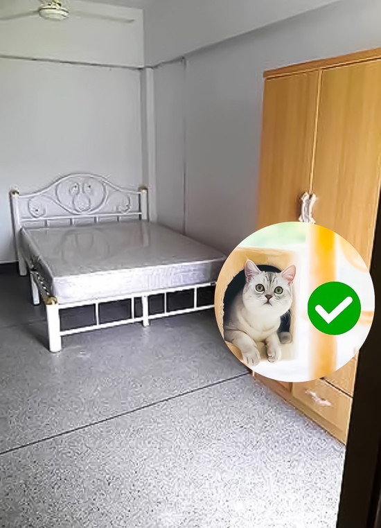 AT MANSION  - Apartment for Rent
