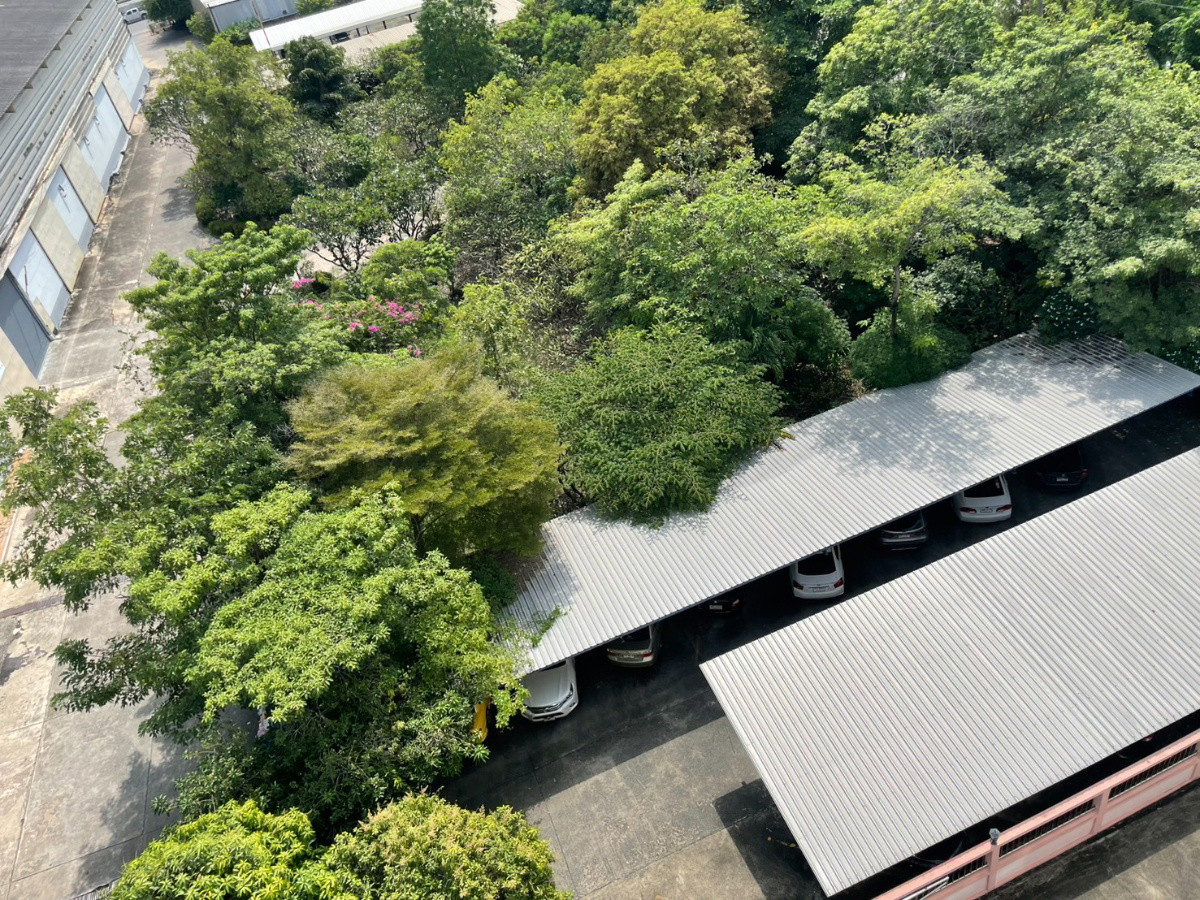 Condo · Mueang Samut Prakan — photo 3