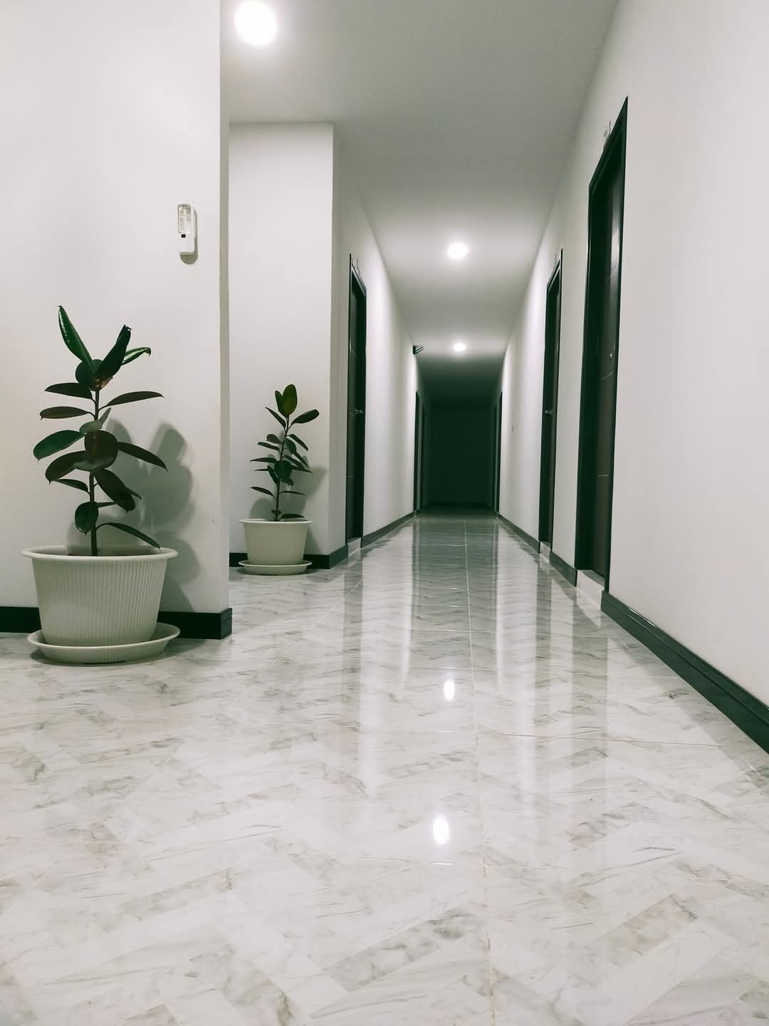 Condo — photo 4