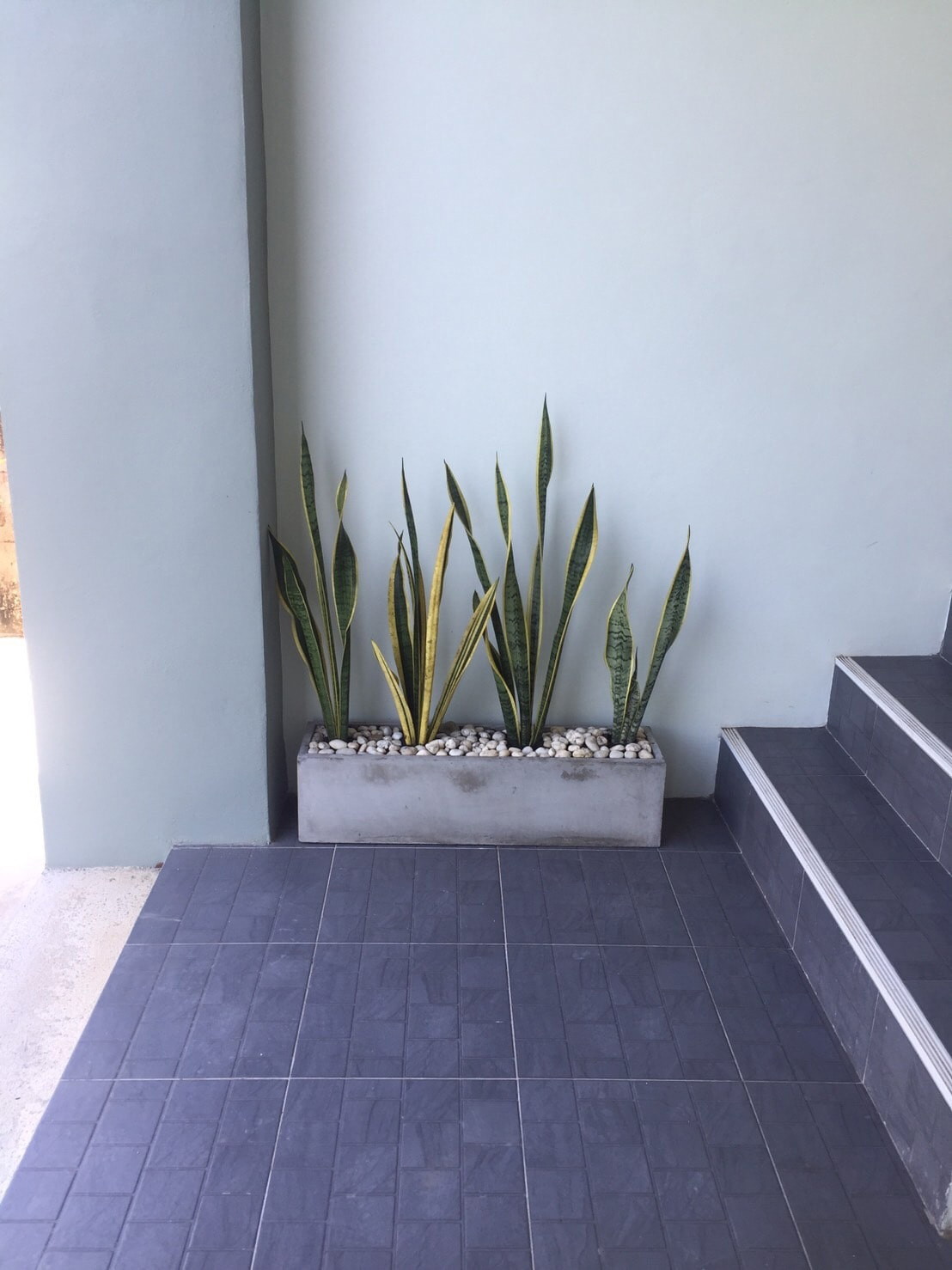 Condo — photo 4