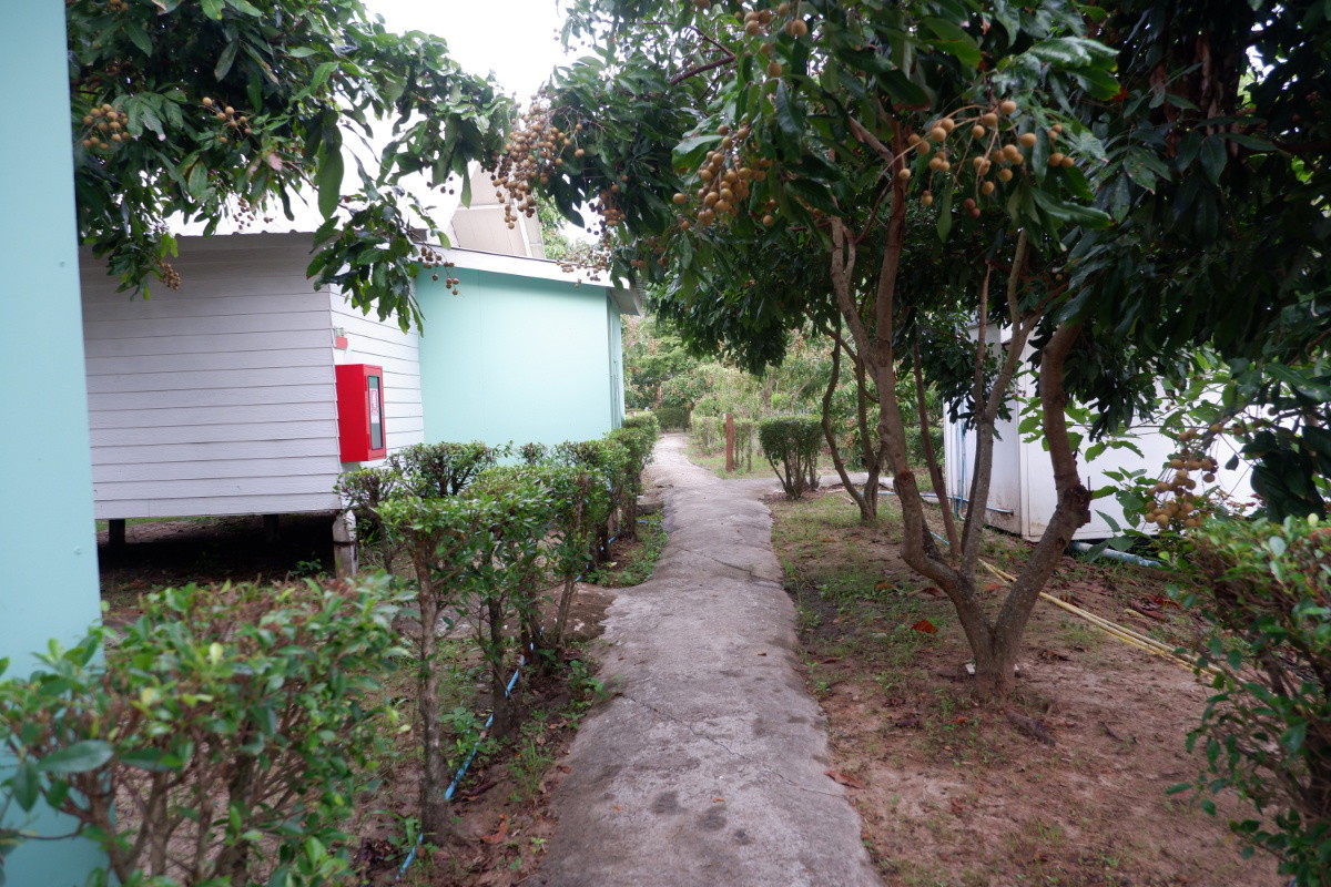 Condo · Chom Thong, chiang_mai — photo 1