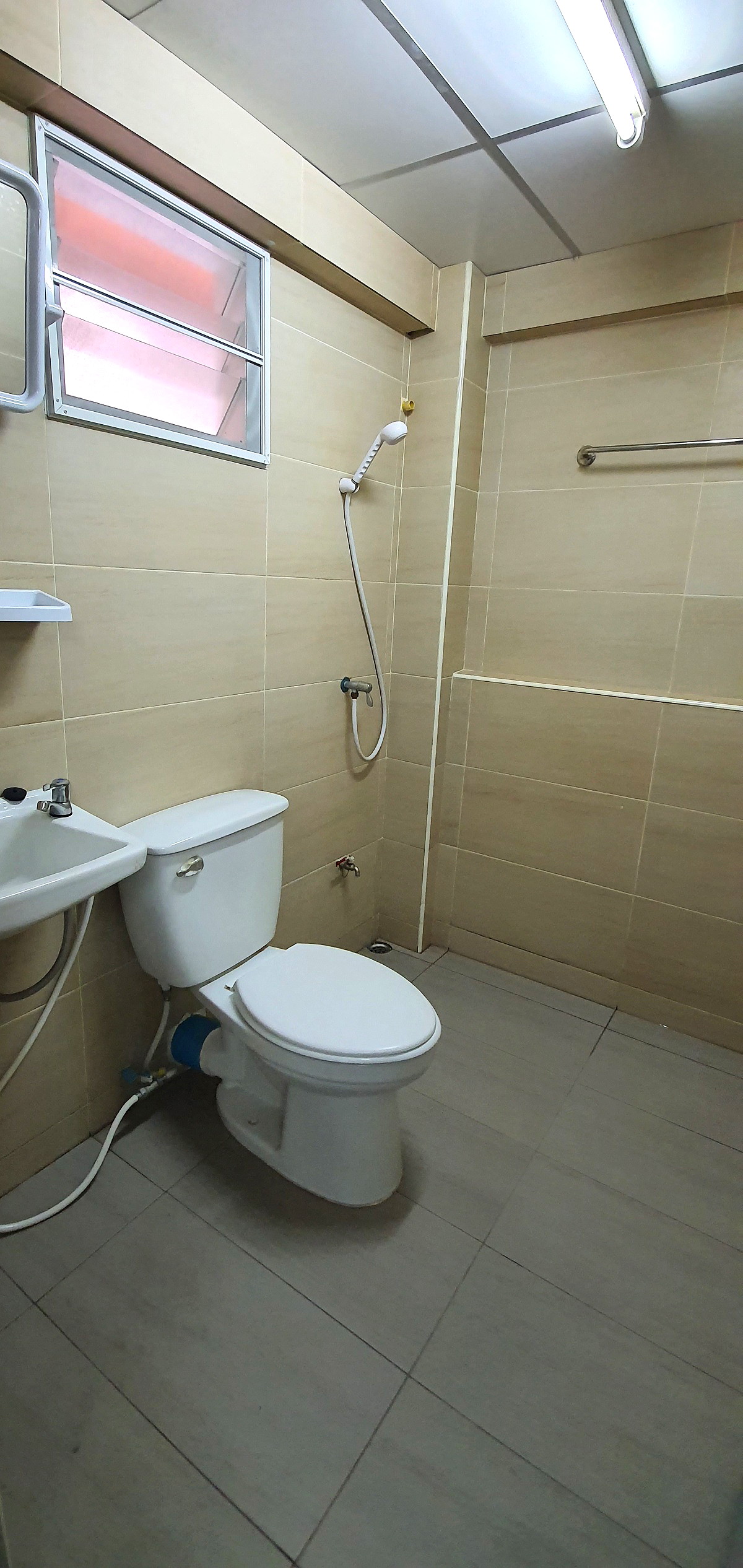 Pictures of Mint AP 4/4