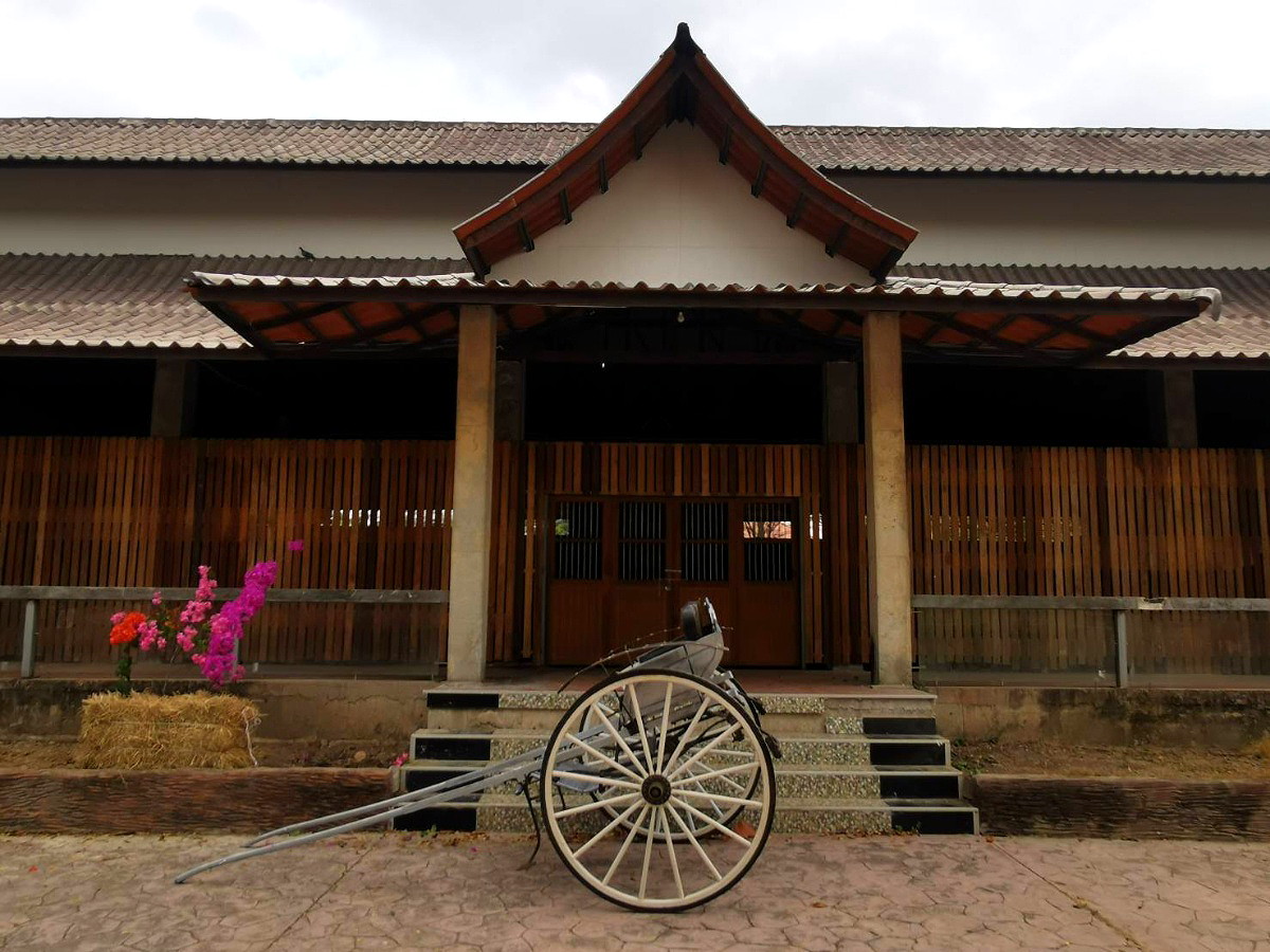 Pictures of Amphawa Horse Farm Resort 16/21