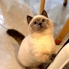 A cool cat.