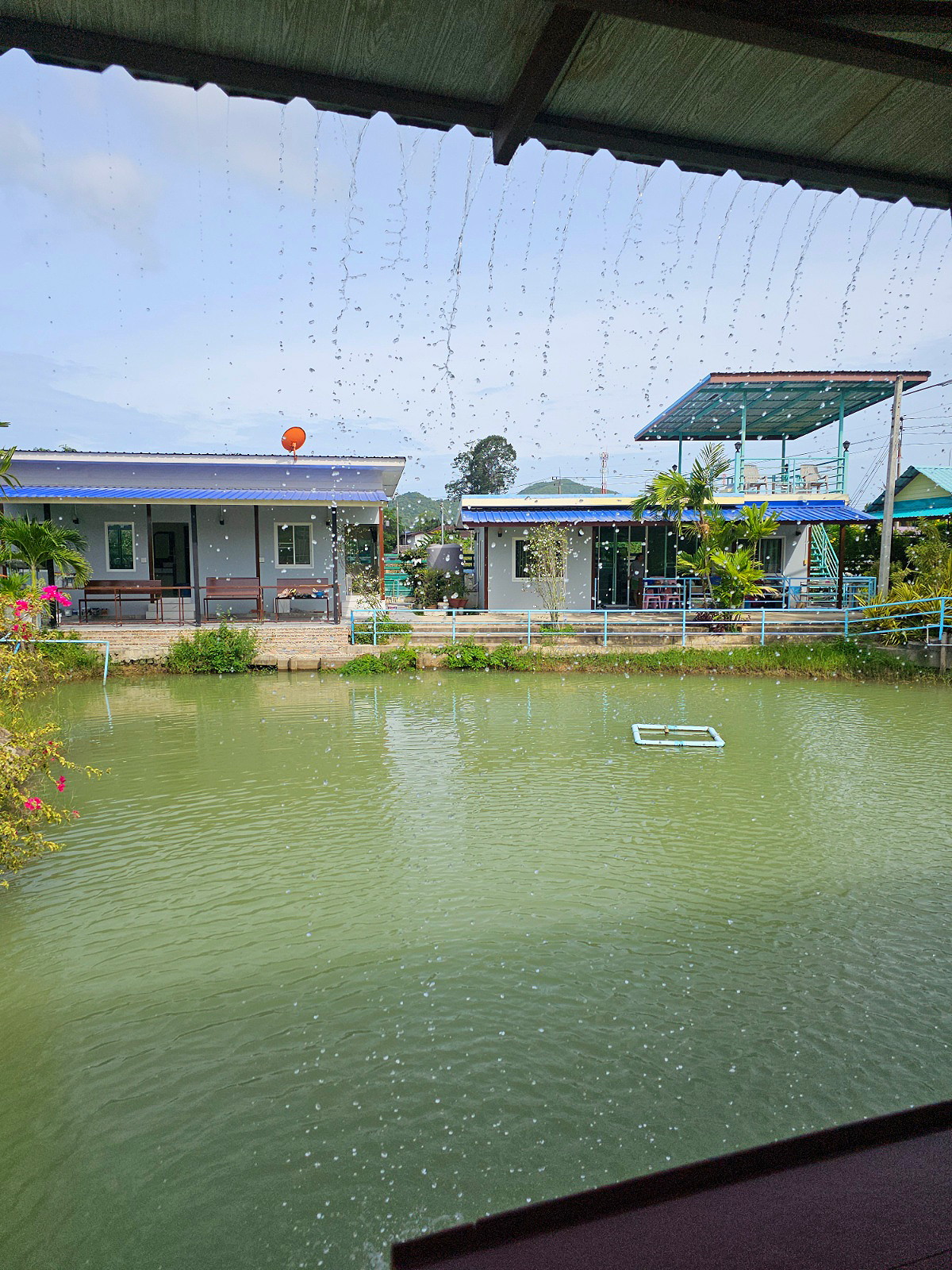 รูปภาพ บ้านริมธารบางเสร่  ที่พักรายวัน และ พูลวิลล่าที่กว้างที่สุดในบางเสร่ | อพาร์ทเม้นท์ หอพัก ที่พัก ห้องพัก - รูปที่ 7/10
