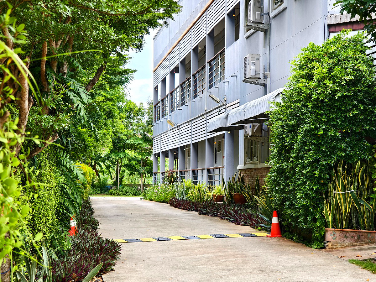 รูปภาพ พาพันธ์ เพลส | อพาร์ทเม้นท์ หอพัก ที่พัก ห้องพัก - รูปที่ 2/13