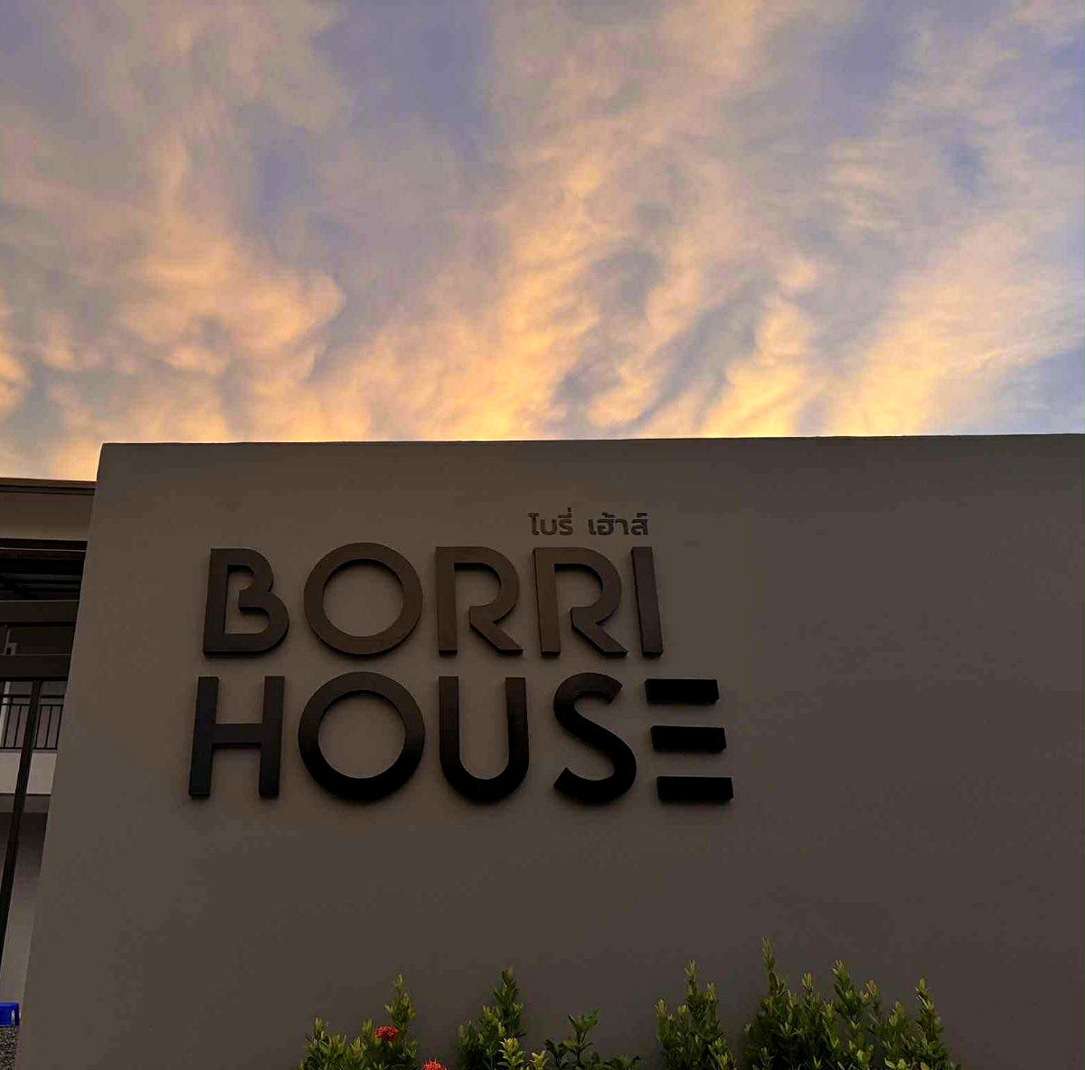 Pictures of Borri House 1/14