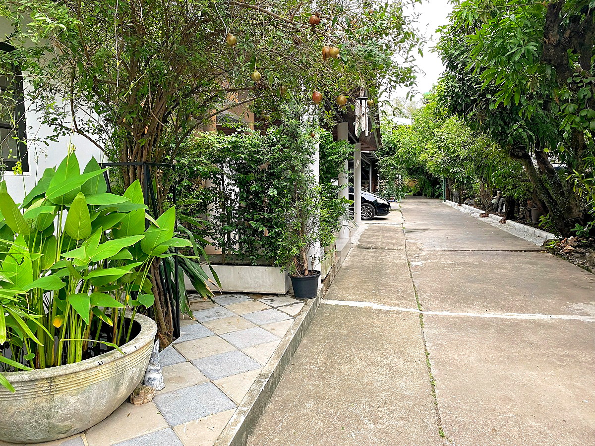 Pictures of K-Home  One Bedroom Plus 3/3