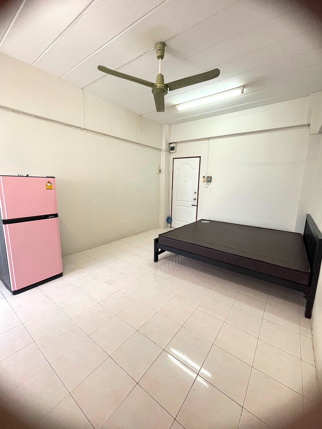 Pictures of BS2019 5/25