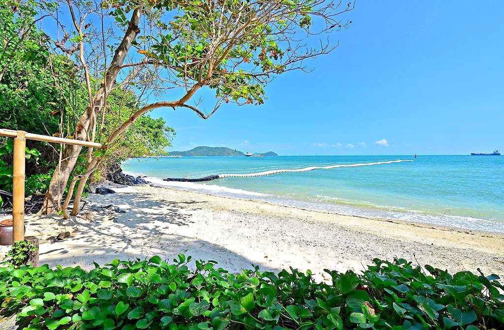รูปภาพ ศรีพันวา ภูเก็ต  | อพาร์ทเม้นท์ หอพัก ที่พัก ห้องพัก - รูปที่ 48/50