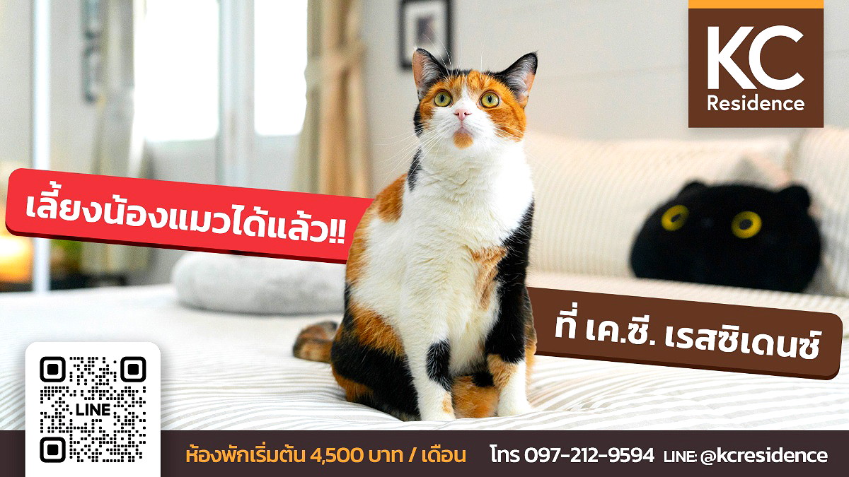 รูปภาพ *เค.ซี. เรสซิเดนซ์* บ้านฉาง เลี้ยงแมวได้  สไตล์รีสอร์ท ️ | อพาร์ทเม้นท์ หอพัก ที่พัก ห้องพัก - รูปที่ 1/13