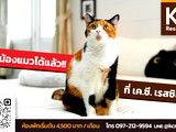 *เค.ซี. เรสซิเดนซ์* บ้านฉาง เลี้ยงแมวได้  สไตล์รีสอร์ท ️ - ห้องรายวัน เทสโก้โลตัส บ้านฉาง