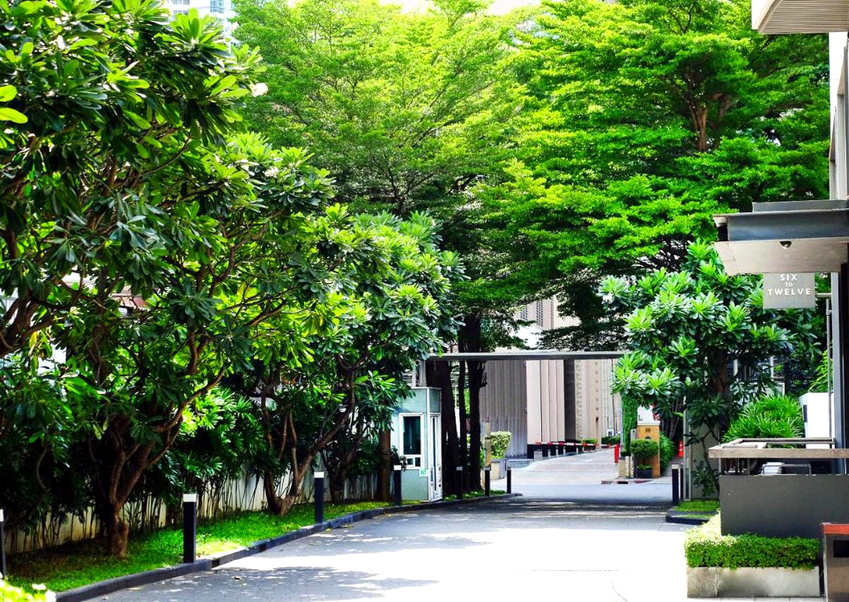 Pictures of Urbana Langsuan 7/19