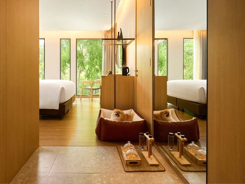 Pictures of dusitD2 Hua Hin Hotels 22/31